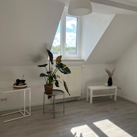 Cozy Work And Stay Pretty Home Chemnitz Extérieur photo