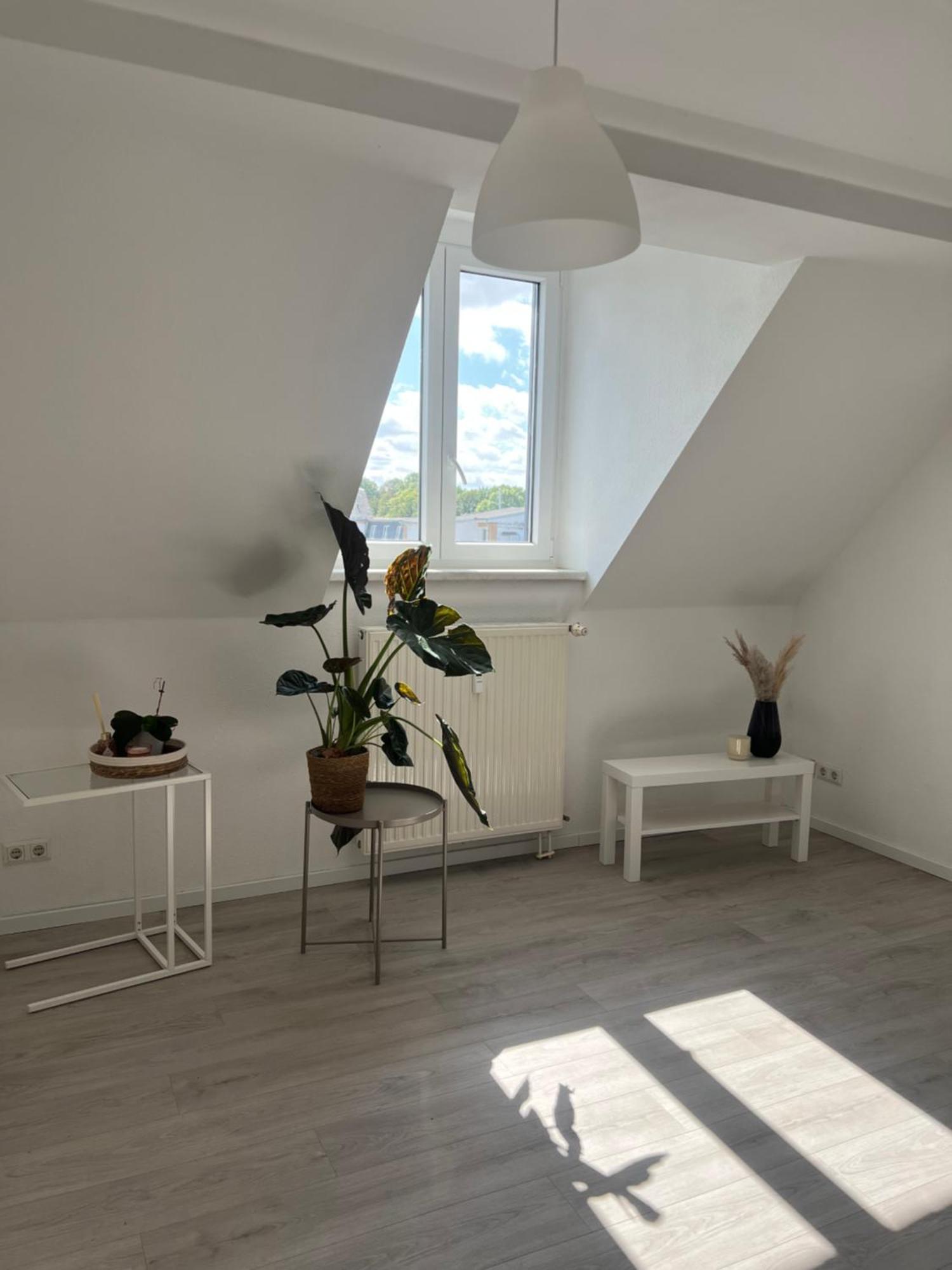 Cozy Work And Stay Pretty Home Chemnitz Extérieur photo